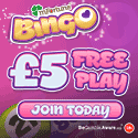 Play Bingo on your Mobile Phone at mFortune Bingo