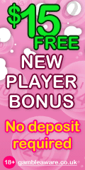 Claim Free money to play online bingo at Bingo Fun