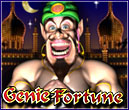 Play Genie Fortune Slot at Bingo Liner