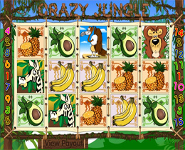 Crazy Jungle Slot from Pragmatic Play