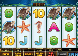 Dolphin Reef Slot Screenshot