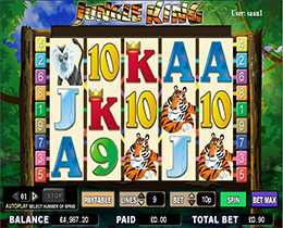 Jungle King Slot Screenshot