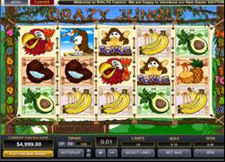 Crazy Jungle Slot Screenshot