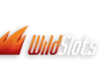 Wild Slots Casino